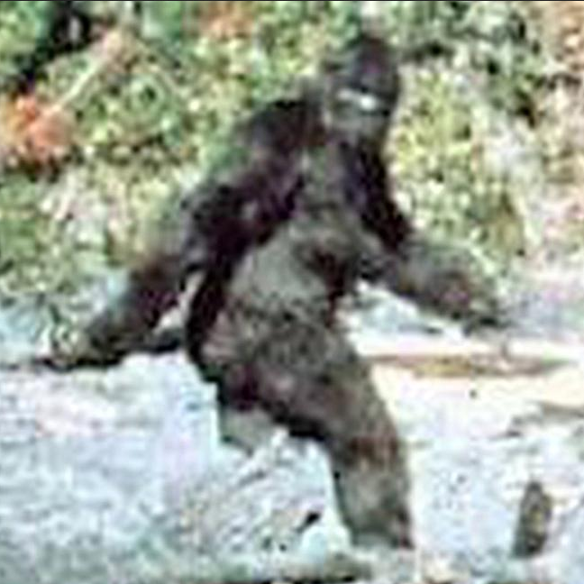 A cropped screenshot of the sasquatch from the 1967  Patterson–Gimlin film.